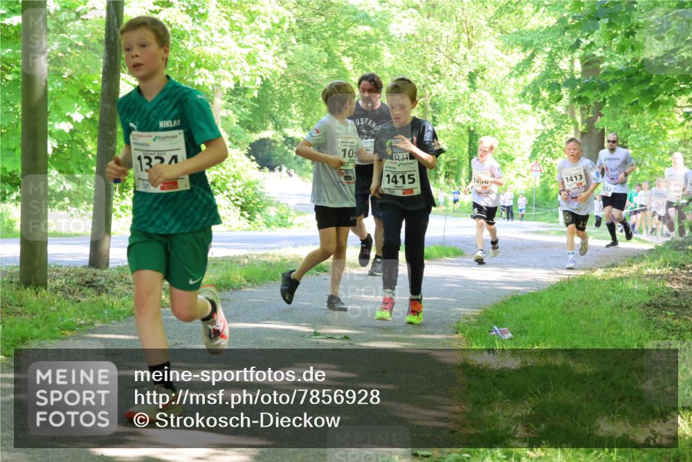 17.05.2025 - Störlauf Strokosch-Dieckow http://msf.ph/oto/7856928 17.05.2025 14:44:36 Laufen 2025, 134, 10, 1415, 1400, 1413, 332, 1510 meine-sportfotos.de