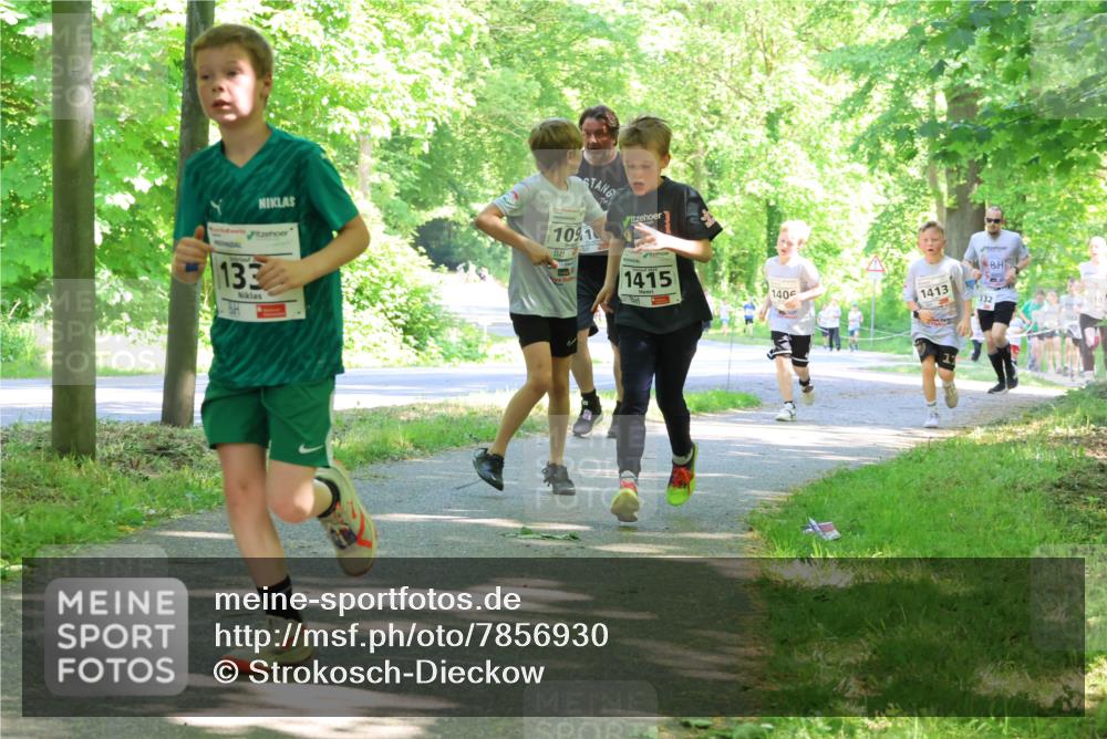 17.05.2025 - Störlauf Strokosch-Dieckow http://msf.ph/oto/7856930 17.05.2025 14:44:36 Laufen 133, 1091, 1415, 140, 1413, 332, 13 meine-sportfotos.de