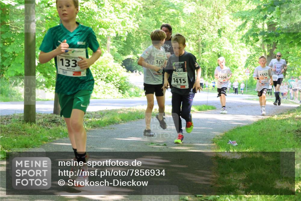 17.05.2025 - Störlauf Strokosch-Dieckow http://msf.ph/oto/7856934 17.05.2025 14:44:36 Laufen 2025, 133, 109, 1415, 1413, 1406, 1332 meine-sportfotos.de
