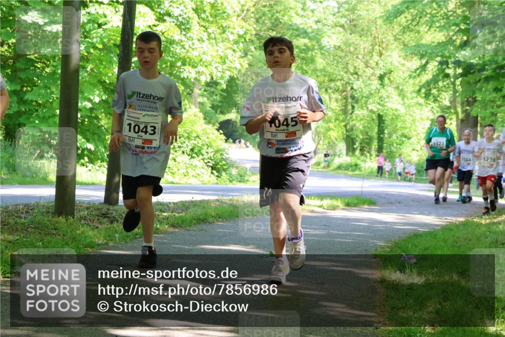 17.05.2025 - Störlauf Strokosch-Dieckow http://msf.ph/oto/7856986 17.05.2025 14:44:50 Laufen 1043, 045, 1423, 1564, 1238 meine-sportfotos.de