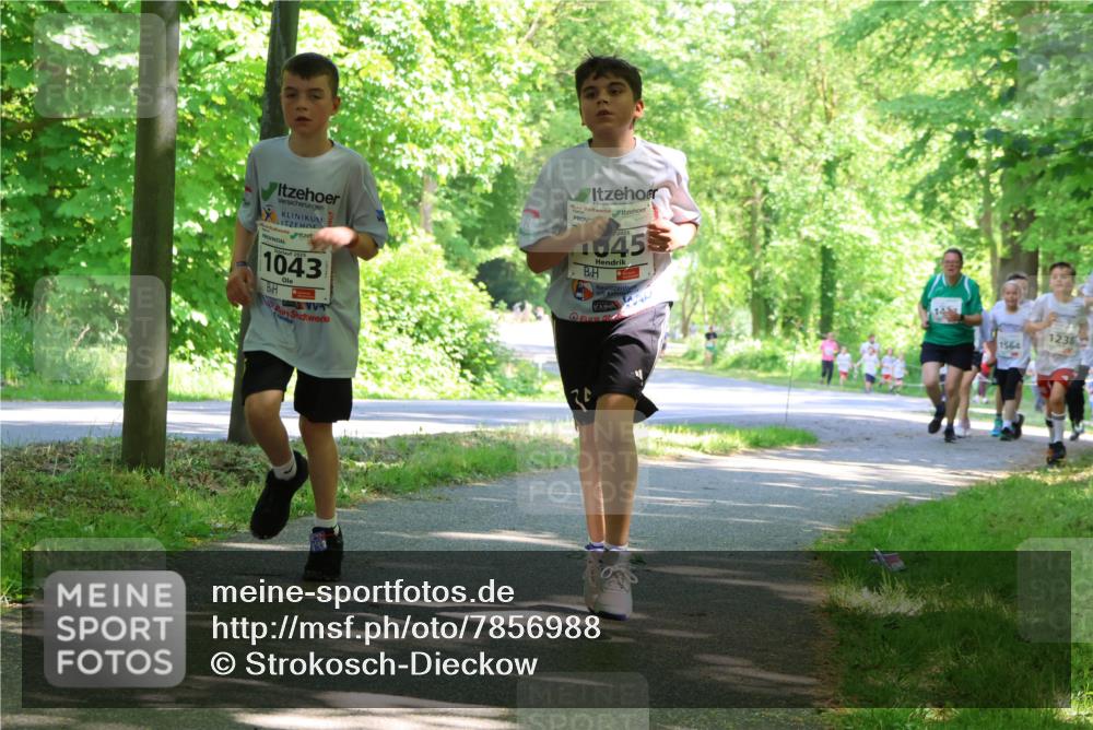 17.05.2025 - Störlauf Strokosch-Dieckow http://msf.ph/oto/7856988 17.05.2025 14:44:50 Laufen 1043, 2025, 1045, 2, 1564, 1238 meine-sportfotos.de
