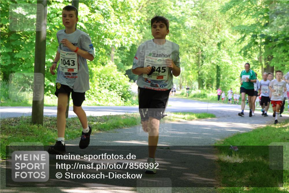 17.05.2025 - Störlauf Strokosch-Dieckow http://msf.ph/oto/7856992 17.05.2025 14:44:50 Laufen 1043, 2025, 45, 1564, 238 meine-sportfotos.de