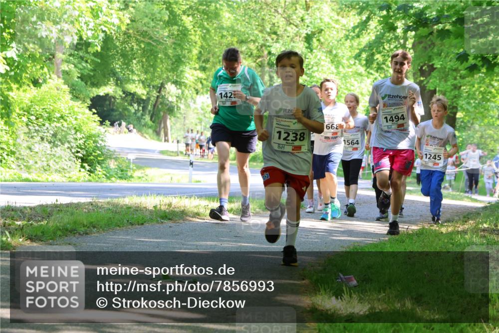 17.05.2025 - Störlauf Strokosch-Dieckow http://msf.ph/oto/7856993 17.05.2025 14:44:53 Laufen 142, 1238, 668, 1564, 1494, 1245 meine-sportfotos.de