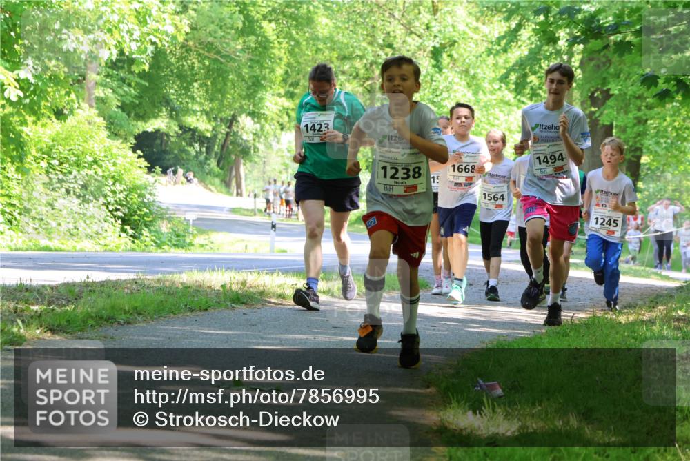 17.05.2025 - Störlauf Strokosch-Dieckow http://msf.ph/oto/7856995 17.05.2025 14:44:53 Laufen 1423, 2025, 1238, 15, 1668, 1564, 1494, 1245 meine-sportfotos.de