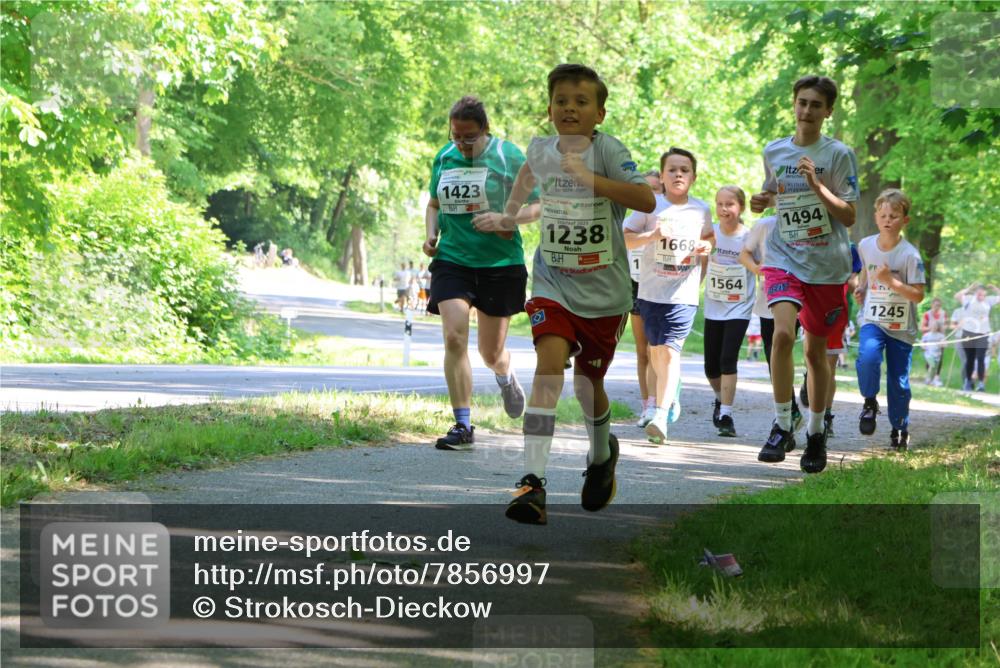17.05.2025 - Störlauf Strokosch-Dieckow http://msf.ph/oto/7856997 17.05.2025 14:44:53 Laufen 1423, 2025, 1238, 1668, 1494, 1564, 1245 meine-sportfotos.de