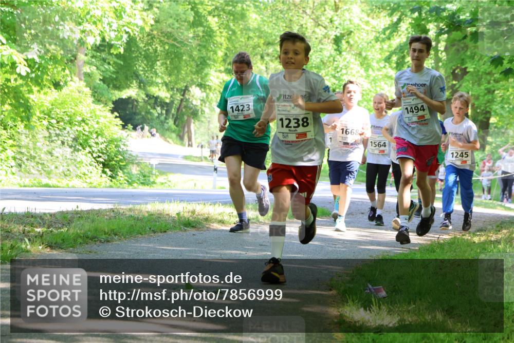 17.05.2025 - Störlauf Strokosch-Dieckow http://msf.ph/oto/7856999 17.05.2025 14:44:53 Laufen 1423, 2025, 1238, 1494, 1668, 1564, 1245 meine-sportfotos.de
