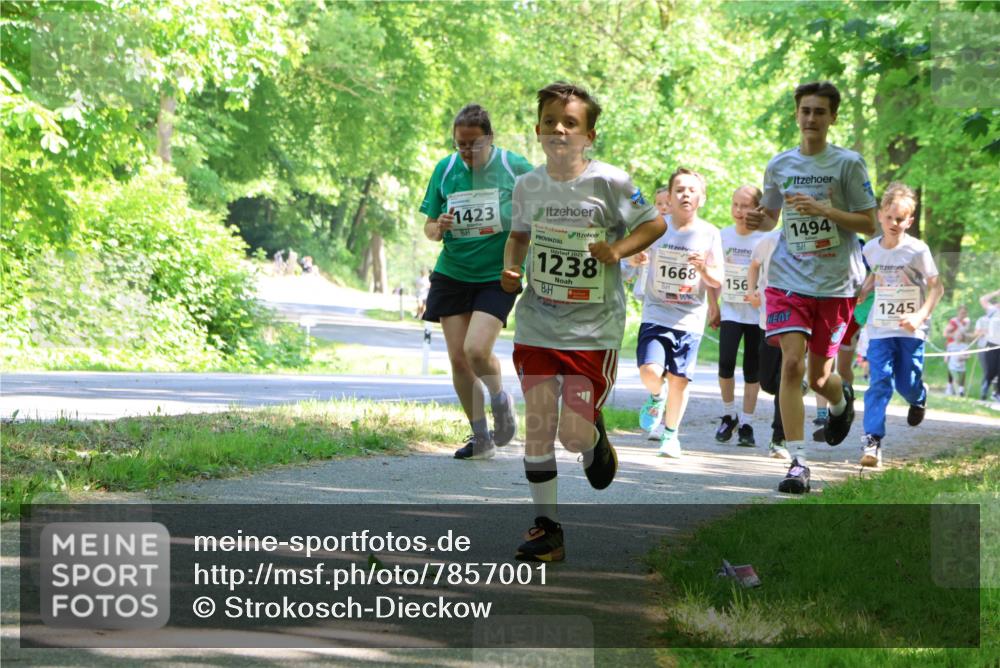 17.05.2025 - Störlauf Strokosch-Dieckow http://msf.ph/oto/7857001 17.05.2025 14:44:53 Laufen 1494, 1423, 1238, 1668, 156, 1245 meine-sportfotos.de