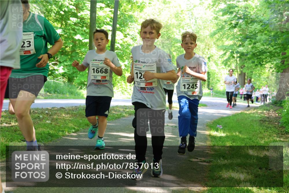 17.05.2025 - Störlauf Strokosch-Dieckow http://msf.ph/oto/7857013 17.05.2025 14:44:58 Laufen 23, 1668, 12, 1245 meine-sportfotos.de