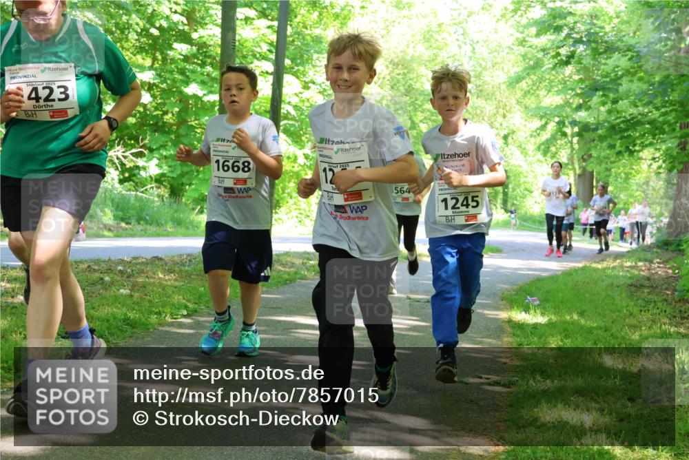 17.05.2025 - Störlauf Strokosch-Dieckow http://msf.ph/oto/7857015 17.05.2025 14:44:58 Laufen 2025, 423, 1668, 2025, 12, 564, 1245 meine-sportfotos.de