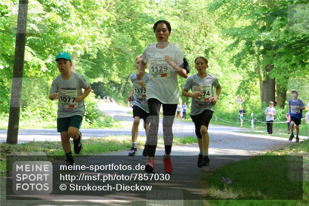 17.05.2025 - Störlauf Strokosch-Dieckow http://msf.ph/oto/7857030 17.05.2025 14:45:02 Laufen 1077, 1373, 2025, 1129, 74, 1173 meine-sportfotos.de