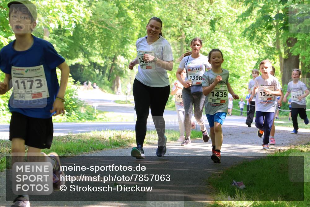 17.05.2025 - Störlauf Strokosch-Dieckow http://msf.ph/oto/7857063 17.05.2025 14:45:09 Laufen 2025, 1173, 143, 1398, 140, 1439, 135, 1657 meine-sportfotos.de