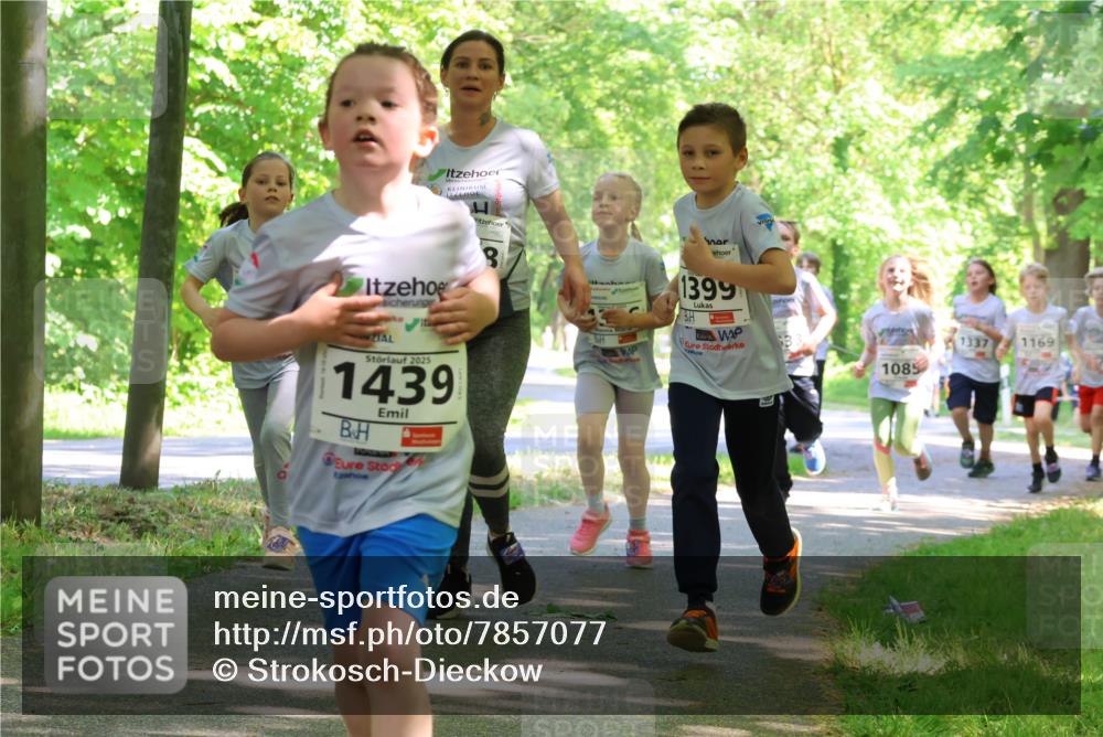 17.05.2025 - Störlauf Strokosch-Dieckow http://msf.ph/oto/7857077 17.05.2025 14:45:13 Laufen 8, 2025, 1439, 1399, 1337, 1169, 1085 meine-sportfotos.de