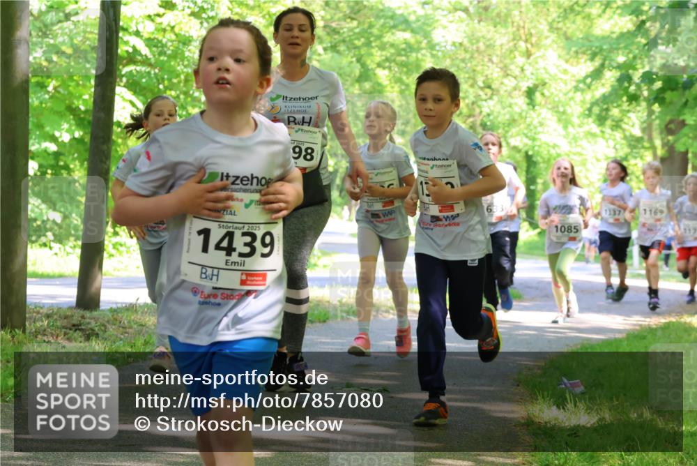 17.05.2025 - Störlauf Strokosch-Dieckow http://msf.ph/oto/7857080 17.05.2025 14:45:13 Laufen 2025, 1439, 2025, 98, 633, 1337, 1169, 1085 meine-sportfotos.de