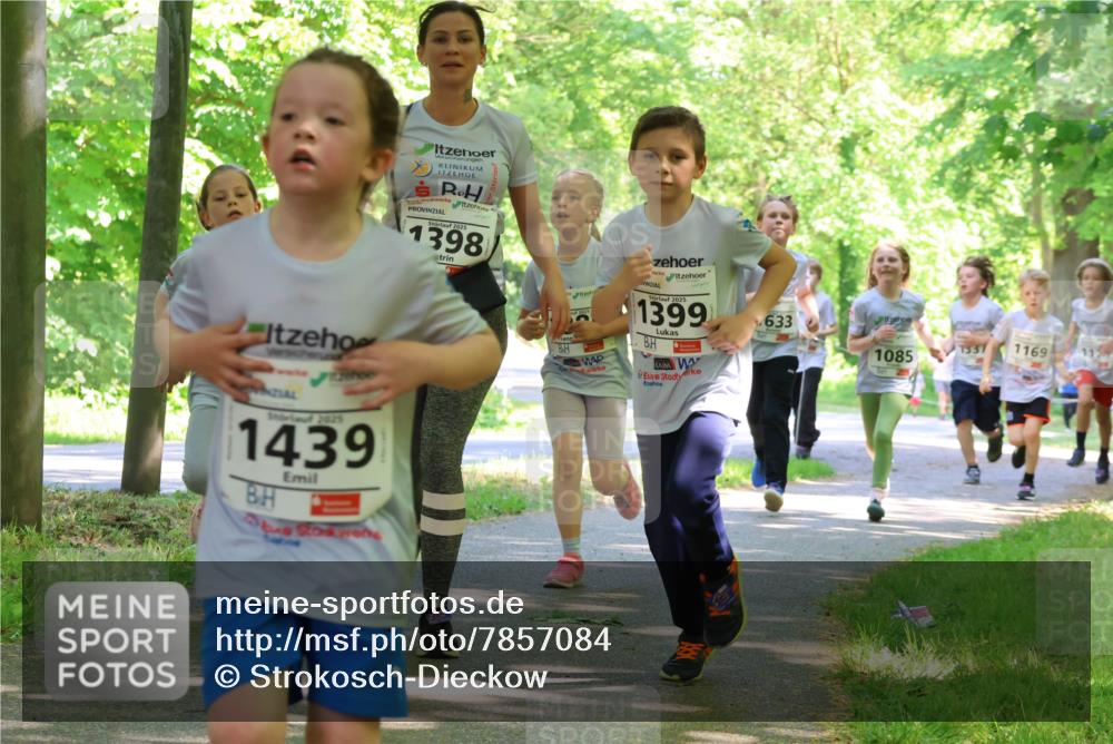 17.05.2025 - Störlauf Strokosch-Dieckow http://msf.ph/oto/7857084 17.05.2025 14:45:13 Laufen 2025, 1439, 2025, 1398, 2025, 1399, 633, 1085, 7537, 1169, 112 meine-sportfotos.de