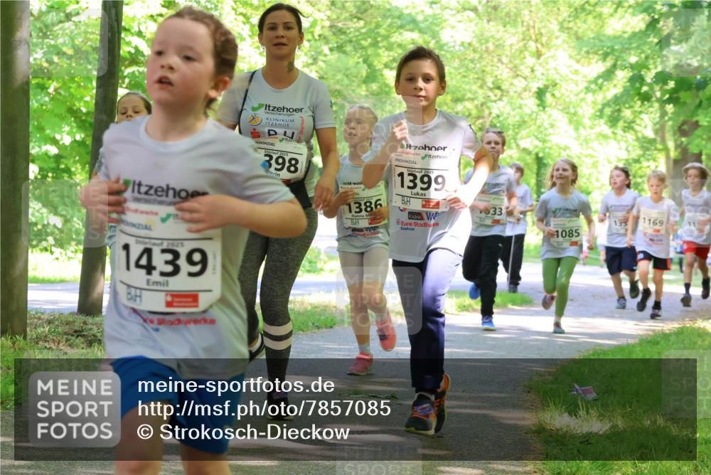17.05.2025 - Störlauf Strokosch-Dieckow http://msf.ph/oto/7857085 17.05.2025 14:45:13 Laufen 2025, 1439, 2025, 398, 1386, 2025, 1399, 33, 1169, 1085 meine-sportfotos.de