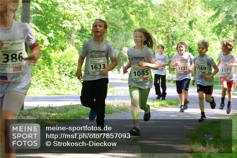 17.05.2025 - Störlauf Strokosch-Dieckow http://msf.ph/oto/7857093 17.05.2025 14:45:15 Laufen 2025, 386, 2025, 1633, 2025, 1085, 1337, 1169, 1171 meine-sportfotos.de