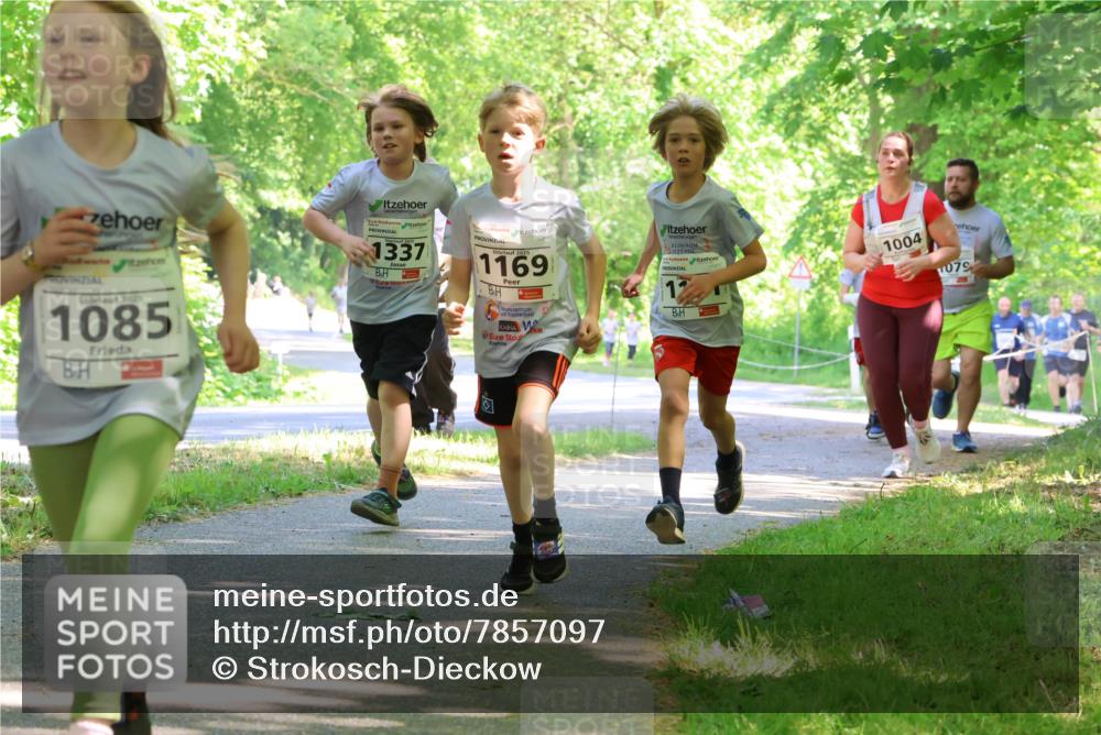 17.05.2025 - Störlauf Strokosch-Dieckow http://msf.ph/oto/7857097 17.05.2025 14:45:16 Laufen 2025, 1085, 1337, 2025, 1169, 12, 1004, 1079 meine-sportfotos.de