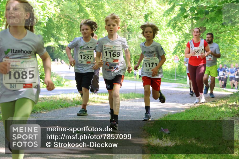 17.05.2025 - Störlauf Strokosch-Dieckow http://msf.ph/oto/7857099 17.05.2025 14:45:16 Laufen 1337, 2023, 1085, 2025, 1169, 1171, 1004, 079 meine-sportfotos.de