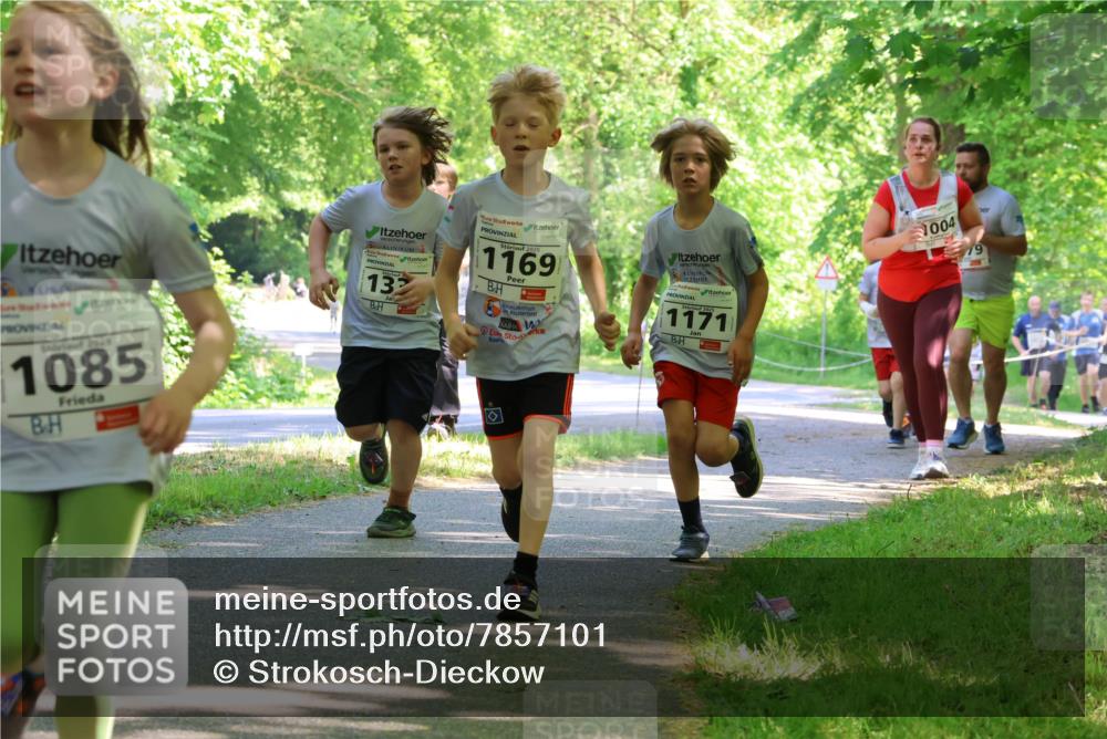 17.05.2025 - Störlauf Strokosch-Dieckow http://msf.ph/oto/7857101 17.05.2025 14:45:16 Laufen 132, 2025, 1169, 1171, 2025, 1085, 1004, 19 meine-sportfotos.de
