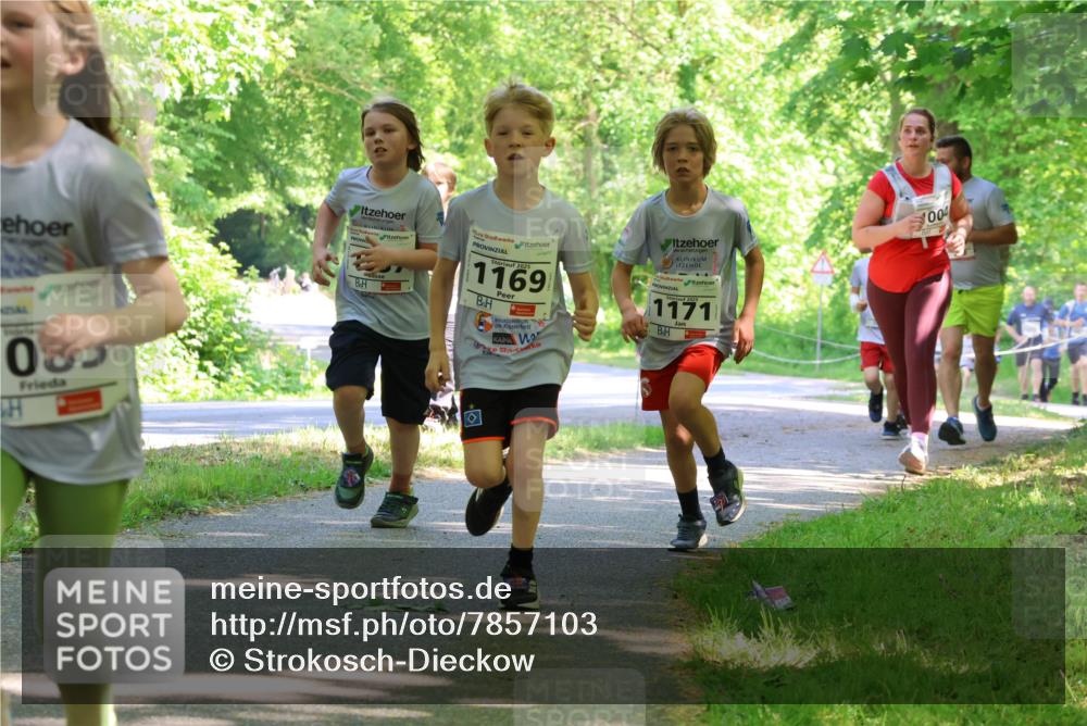 17.05.2025 - Störlauf Strokosch-Dieckow http://msf.ph/oto/7857103 17.05.2025 14:45:16 Laufen 2, 2025, 1169, 1171, 1004, 085, 0 meine-sportfotos.de