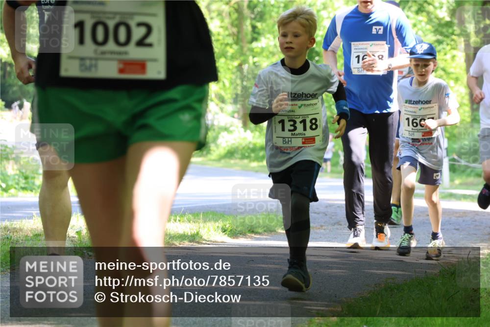 17.05.2025 - Störlauf Strokosch-Dieckow http://msf.ph/oto/7857135 17.05.2025 14:45:35 Laufen 1002, 168, 2025, 1318, 2025, 166 meine-sportfotos.de