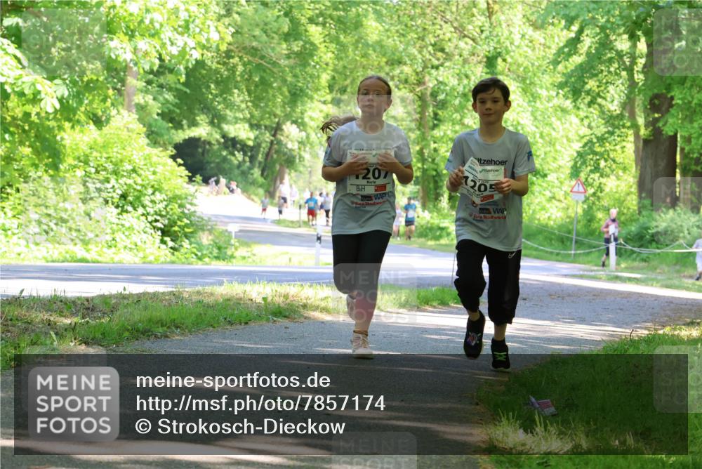 17.05.2025 - Störlauf Strokosch-Dieckow http://msf.ph/oto/7857174 17.05.2025 14:45:48 Laufen 2, 207, 205 meine-sportfotos.de