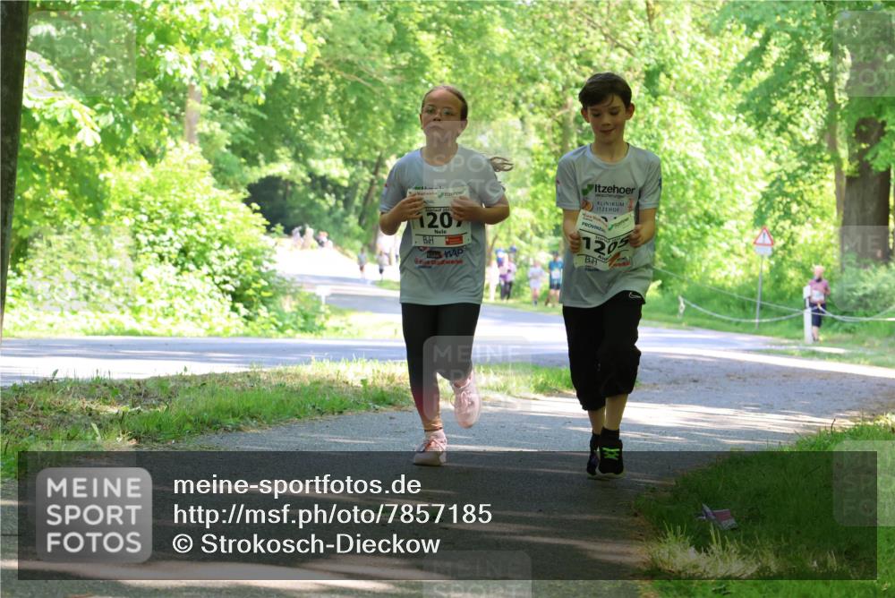 17.05.2025 - Störlauf Strokosch-Dieckow http://msf.ph/oto/7857185 17.05.2025 14:45:48 Laufen 2023, 120, 1205 meine-sportfotos.de
