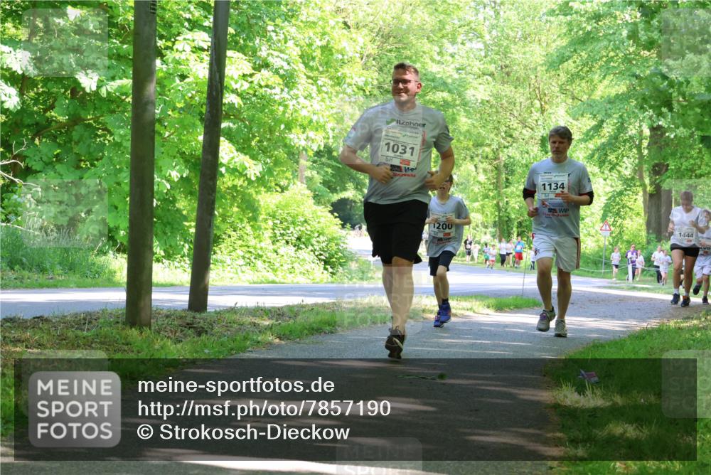 17.05.2025 - Störlauf Strokosch-Dieckow http://msf.ph/oto/7857190 17.05.2025 14:46:03 Laufen 1031, 1134, 1200, 1444, 206 meine-sportfotos.de