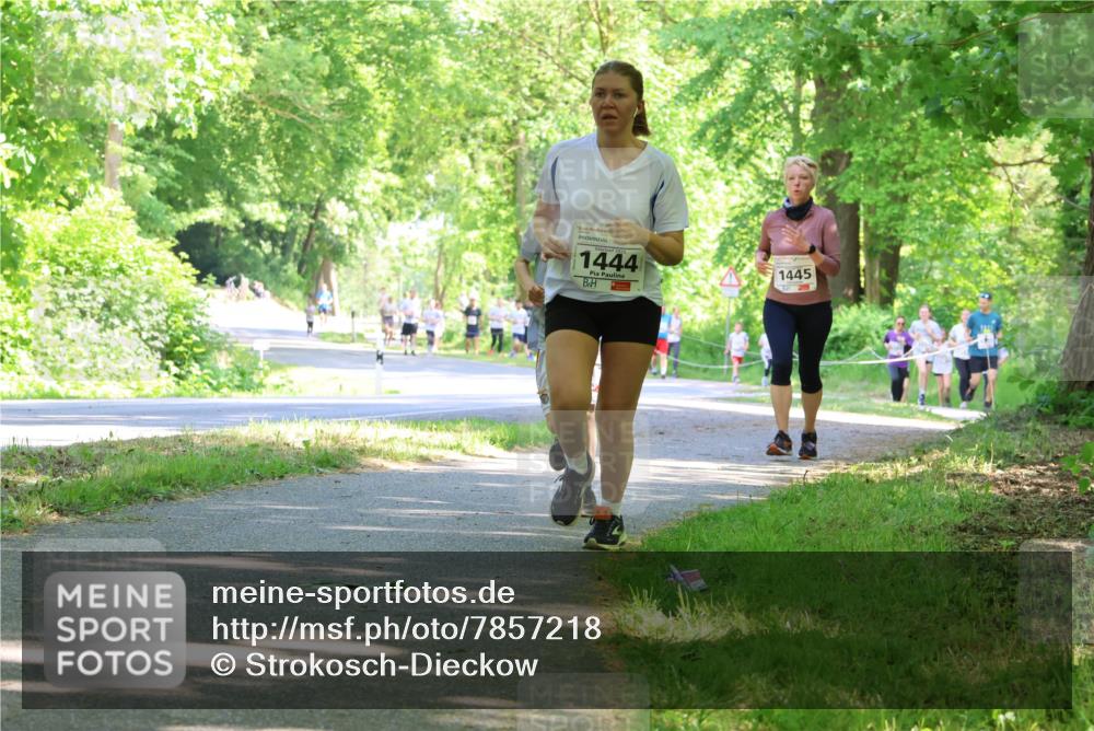 17.05.2025 - Störlauf Strokosch-Dieckow http://msf.ph/oto/7857218 17.05.2025 14:46:08 Laufen 1444, 1445 meine-sportfotos.de