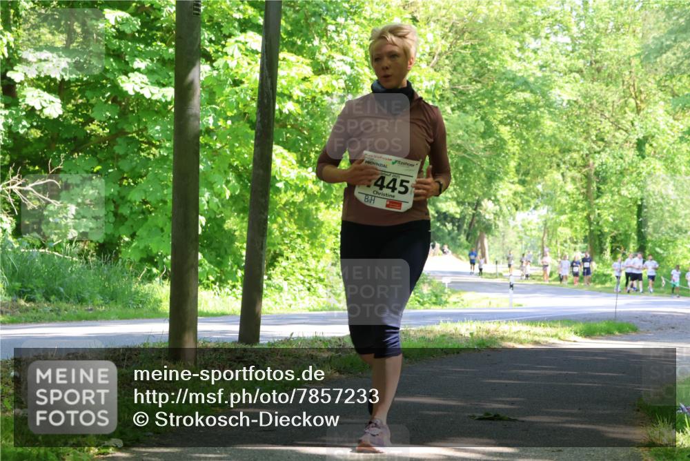 17.05.2025 - Störlauf Strokosch-Dieckow http://msf.ph/oto/7857233 17.05.2025 14:46:13 Laufen 2025, 445 meine-sportfotos.de