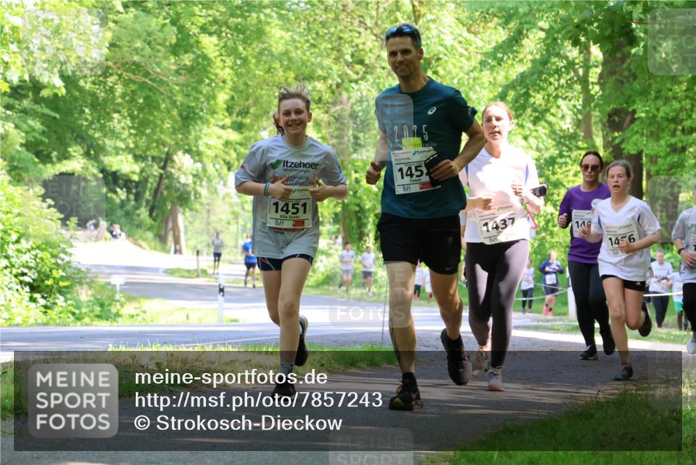 17.05.2025 - Störlauf Strokosch-Dieckow http://msf.ph/oto/7857243 17.05.2025 14:46:24 Laufen 1451, 2025, 145, 1437, 148, 14, 6 meine-sportfotos.de