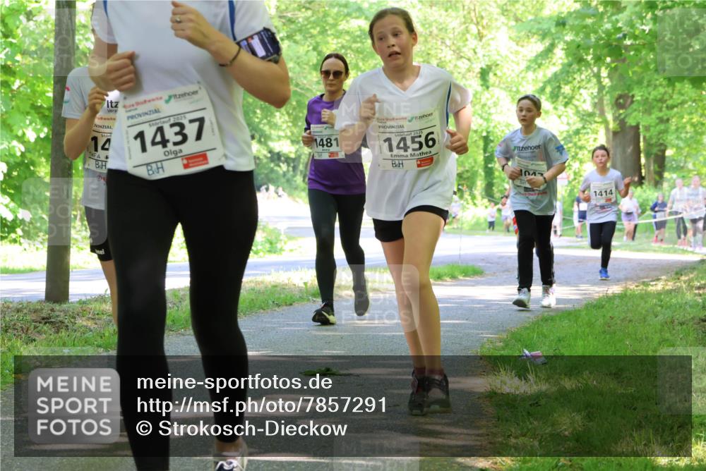 17.05.2025 - Störlauf Strokosch-Dieckow http://msf.ph/oto/7857291 17.05.2025 14:46:29 Laufen 2025, 14, 1437, 1481, 2025, 1456, 1047, 1414 meine-sportfotos.de