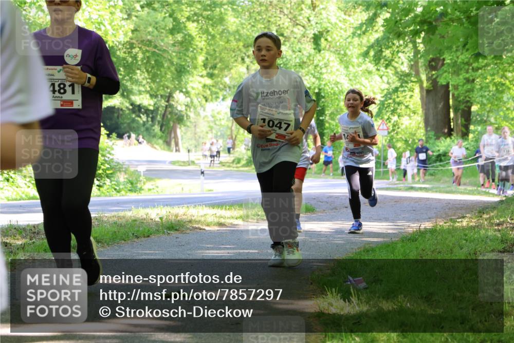 17.05.2025 - Störlauf Strokosch-Dieckow http://msf.ph/oto/7857297 17.05.2025 14:46:31 Laufen 2025, 4811, 2025, 1047, 1230, 118 meine-sportfotos.de