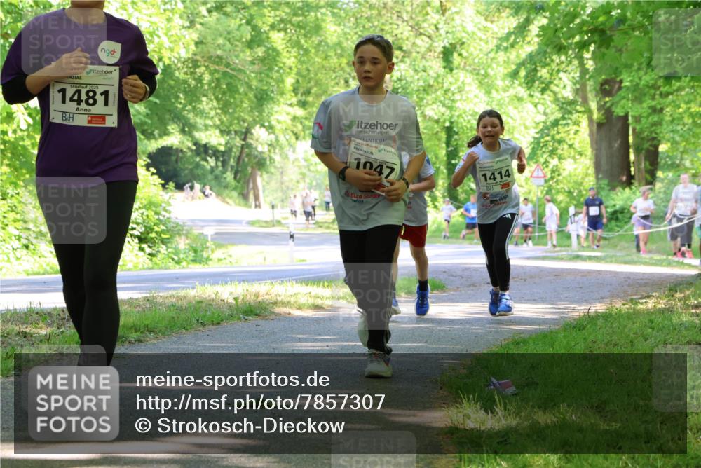 17.05.2025 - Störlauf Strokosch-Dieckow http://msf.ph/oto/7857307 17.05.2025 14:46:31 Laufen 2025, 1481, 1047, 1414 meine-sportfotos.de