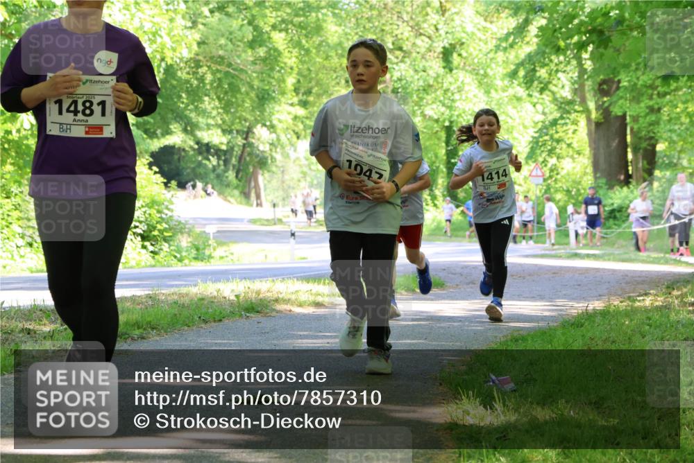 17.05.2025 - Störlauf Strokosch-Dieckow http://msf.ph/oto/7857310 17.05.2025 14:46:31 Laufen 2025, 1481, 1047, 1414 meine-sportfotos.de