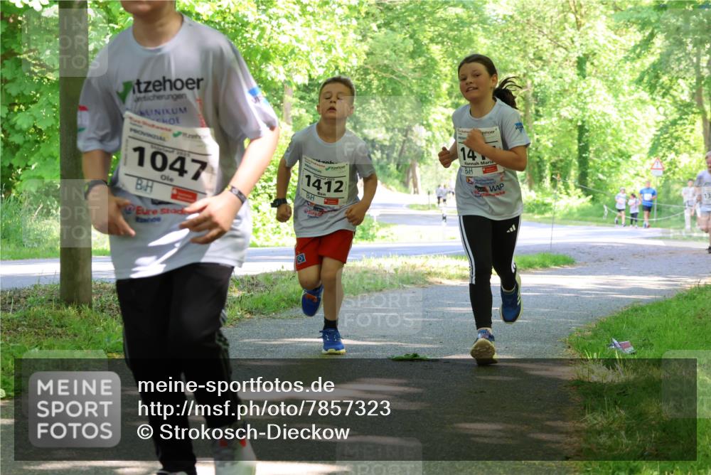 17.05.2025 - Störlauf Strokosch-Dieckow http://msf.ph/oto/7857323 17.05.2025 14:46:33 Laufen 2025, 1047, 1412, 14, 13 meine-sportfotos.de