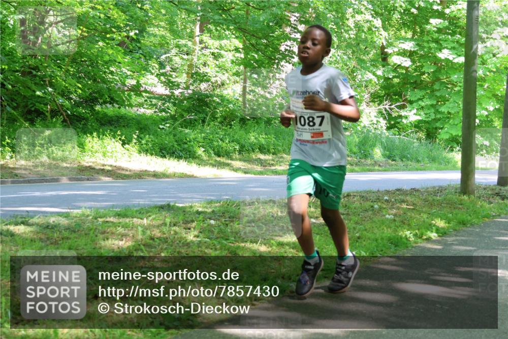 17.05.2025 - Störlauf Strokosch-Dieckow http://msf.ph/oto/7857430 17.05.2025 14:46:49 Laufen 2025, 1087 meine-sportfotos.de