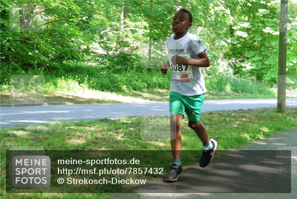 17.05.2025 - Störlauf Strokosch-Dieckow http://msf.ph/oto/7857432 17.05.2025 14:46:49 Laufen 1087 meine-sportfotos.de