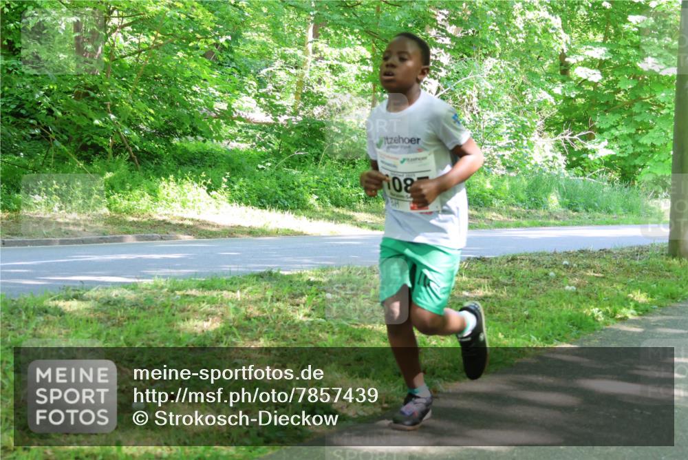 17.05.2025 - Störlauf Strokosch-Dieckow http://msf.ph/oto/7857439 17.05.2025 14:46:49 Laufen 108 meine-sportfotos.de