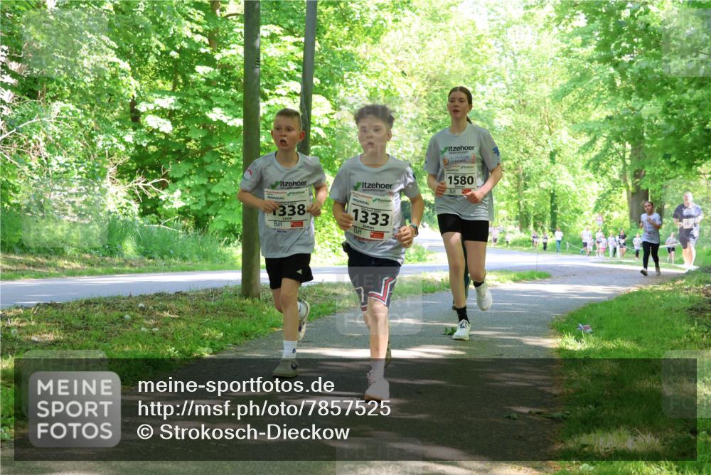 17.05.2025 - Störlauf Strokosch-Dieckow http://msf.ph/oto/7857525 17.05.2025 14:47:33 Laufen 338, 1333, 1580 meine-sportfotos.de