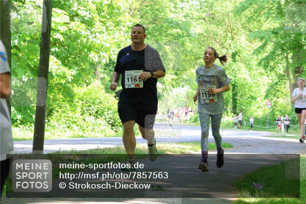 17.05.2025 - Störlauf Strokosch-Dieckow http://msf.ph/oto/7857563 17.05.2025 14:47:41 Laufen 1161, 1196, 1457 meine-sportfotos.de