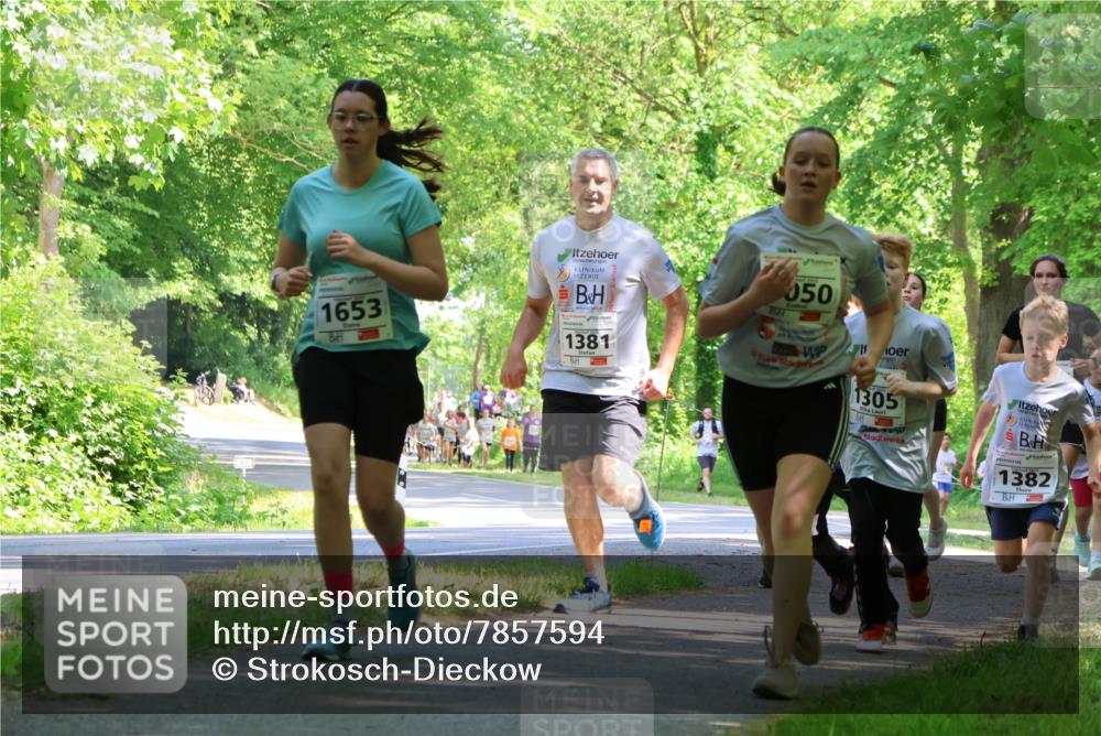 17.05.2025 - Störlauf Strokosch-Dieckow http://msf.ph/oto/7857594 17.05.2025 14:47:54 Laufen 1653, 1381, 050, 1305, 1382 meine-sportfotos.de