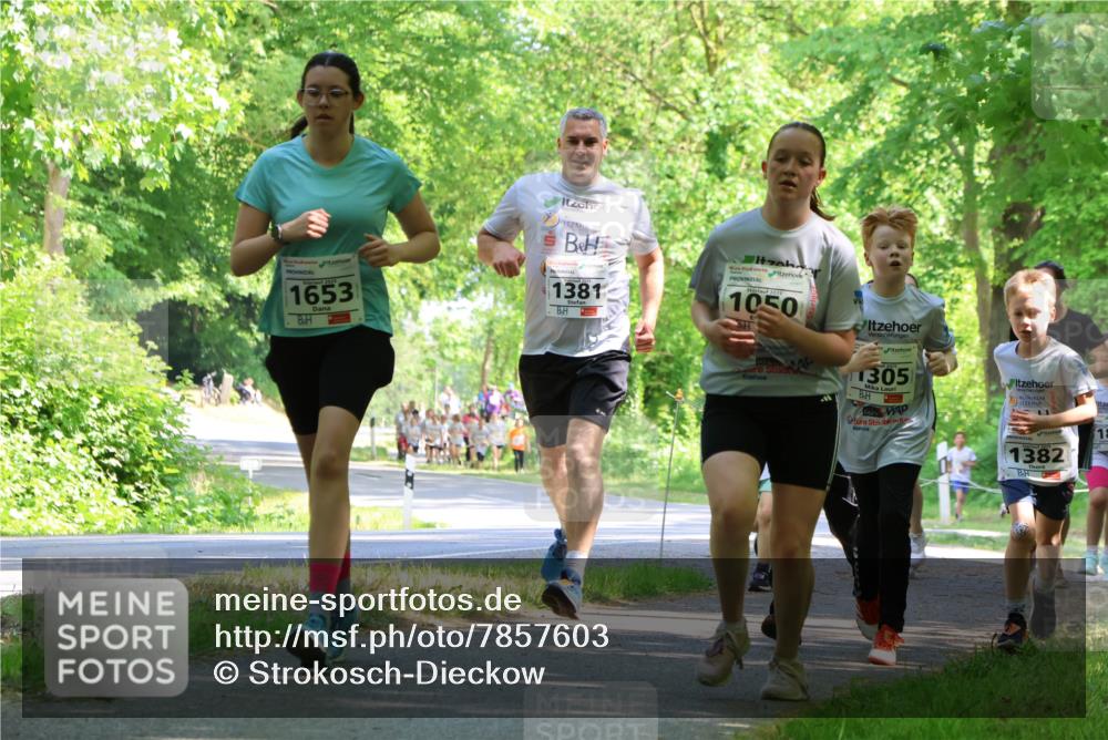 17.05.2025 - Störlauf Strokosch-Dieckow http://msf.ph/oto/7857603 17.05.2025 14:47:54 Laufen 1653, 1381, 1050, 305, 1382, 18 meine-sportfotos.de