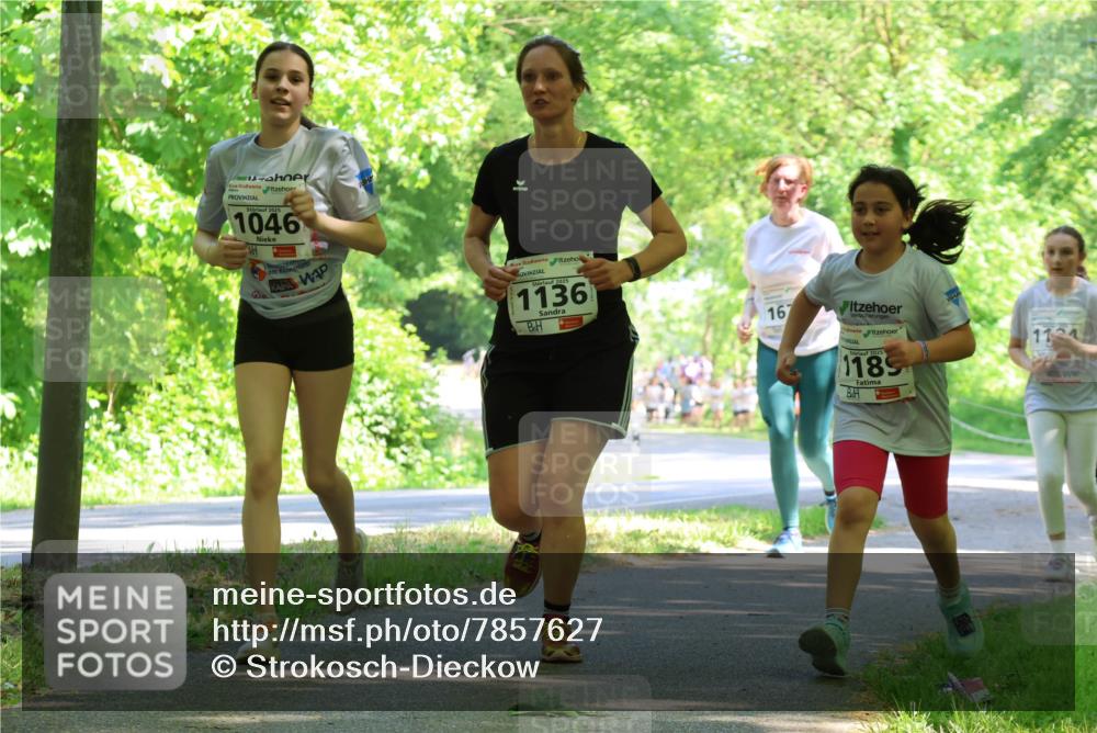17.05.2025 - Störlauf Strokosch-Dieckow http://msf.ph/oto/7857627 17.05.2025 14:48:00 Laufen 2025, 1046, 2025, 1136, 167, 2025, 1189, 114 meine-sportfotos.de