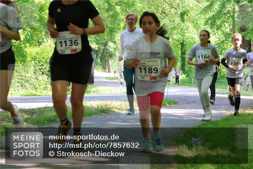 17.05.2025 - Störlauf Strokosch-Dieckow http://msf.ph/oto/7857632 17.05.2025 14:48:01 Laufen 1136, 1184, 1189, 1301 meine-sportfotos.de