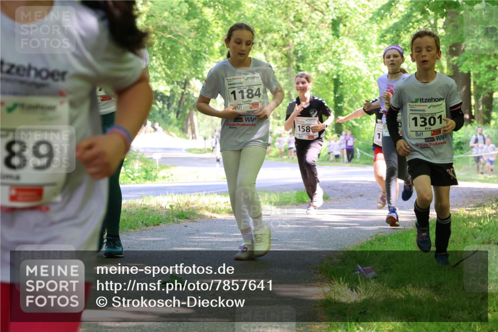 17.05.2025 - Störlauf Strokosch-Dieckow http://msf.ph/oto/7857641 17.05.2025 14:48:03 Laufen 2025, 1184, 1585, 89, 2025, 1301 meine-sportfotos.de