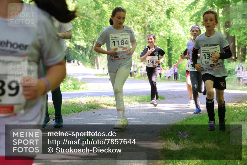 17.05.2025 - Störlauf Strokosch-Dieckow http://msf.ph/oto/7857644 17.05.2025 14:48:03 Laufen 2025, 1184, 39, 1586, 2, 13, 30 meine-sportfotos.de