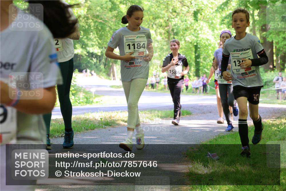 17.05.2025 - Störlauf Strokosch-Dieckow http://msf.ph/oto/7857646 17.05.2025 14:48:03 Laufen 2, 2025, 1184, 1586, 75, 13 meine-sportfotos.de