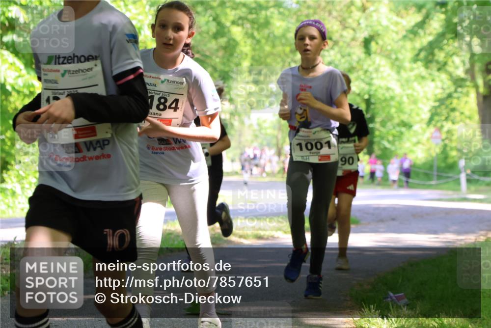17.05.2025 - Störlauf Strokosch-Dieckow http://msf.ph/oto/7857651 17.05.2025 14:48:05 Laufen 2025, 2025, 184, 1001, 90 meine-sportfotos.de