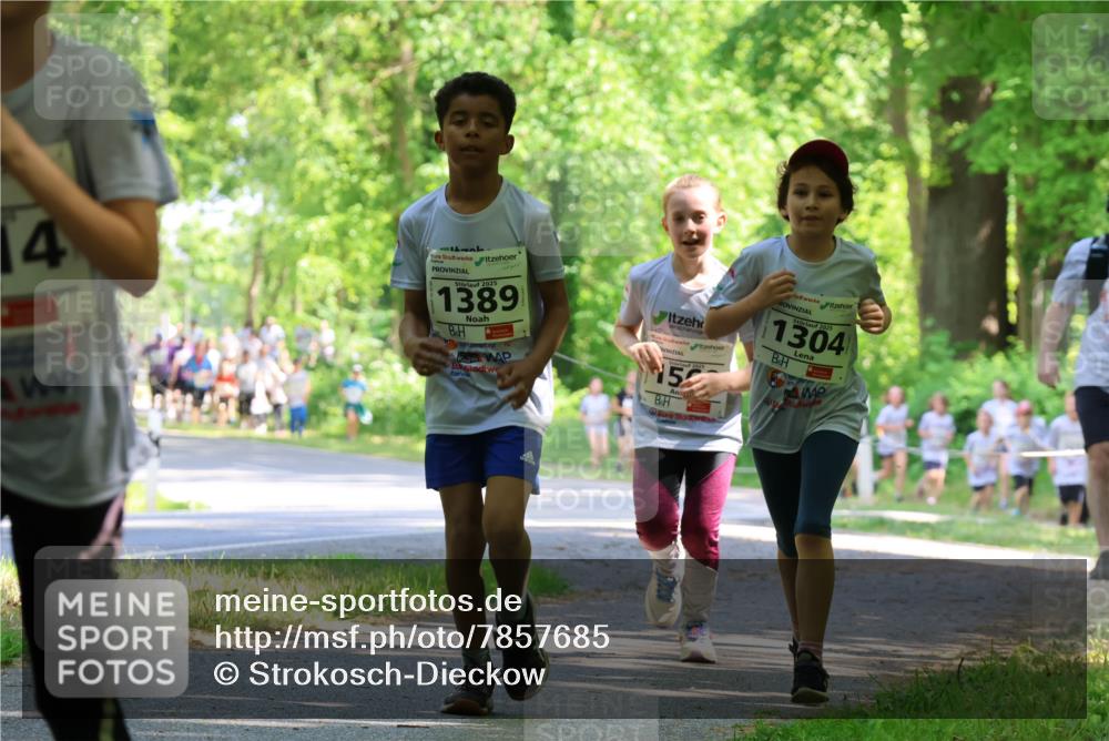 17.05.2025 - Störlauf Strokosch-Dieckow http://msf.ph/oto/7857685 17.05.2025 14:48:15 Laufen 14, 2025, 1389, 2025, 5, 1304 meine-sportfotos.de